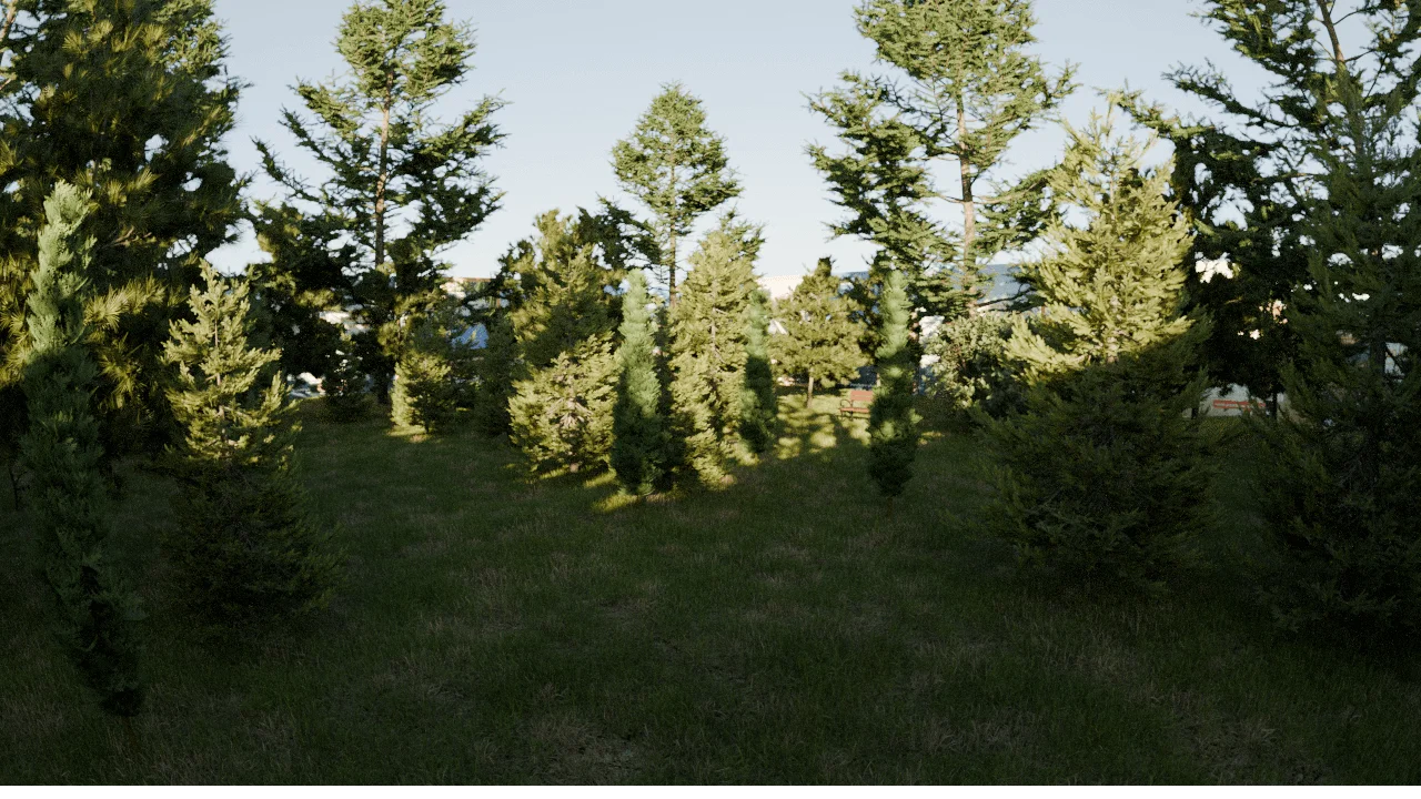 Animation FPV forêt